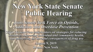 NYS Senate Public Hearing on Opioids, Addiction and Overdose Prevention - 08/09/19