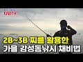 2b~3b 구멍찌를 활용한 가을 감성돔낚시 채비법 디낚tv