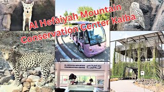 Al Hefaiyah Mountain Conservation Center Kalba Sharjah | Sharjah Kalba Tourist Attractions|Sanctuary