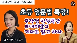 (LIVE)겨울방학특강_초등에게 영어문법이 필요한 시기와 학습방법 전격해부