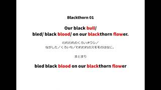 英語よみきかせリズミクス Blackthorn 01