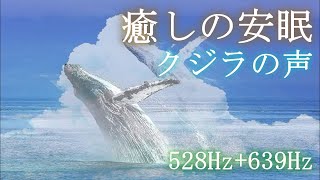 【クジラの声🐳癒しと調和】深い眠りへ導くクジラの声と心身を癒し調和力を上げる（対人関係・コミュニケーション能力向上）528Hz+639ソルフェジオ瞑想音楽 🌿自然音｜睡眠用・作業用・勉強用bgm