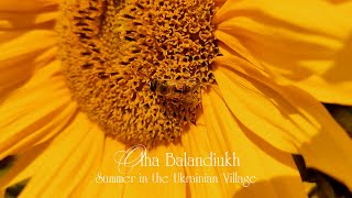 Olha Balandiukh — Summer in the Ukrainian Village