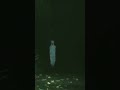 penampakan pocong di pesayangan desa raja kecamatan ngabang kalimantan pocong penampakan