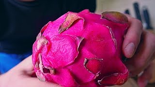 PITAHAYA | DRAGONFRUIT | DRAČIE OVOCIE | DRAČIE VAJCE