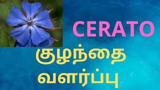 மலர் மருத்துவம் - CERATO - EIGHTH - DR.BACH (6)