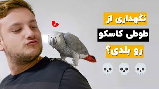 راهنمای کامل نگهداری از کاسکو (سخته!!)