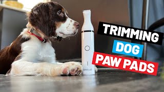 Low-Noise Dog Paw Pad Trimmer/Clipper Review (from Oneisall)