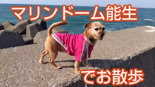 あんの＜犬の散歩がOK?な公園探訪＞PART3〜マリンドリーム能生・新潟県〜