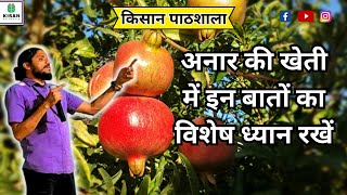 4970-J Banana Export Farming, KISAN PATHSHALA by Dr BALRAM KISAN, केला खेती, 9404691236, Akluj MH