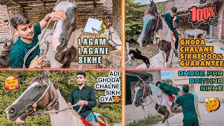 GHODA CHALANE SIKHE 100% GUARANTEE KE SATH | LAGAM LAGANA AUR BAITHNA SIKHE | LEARN HORSERIDING