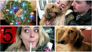 Christmas Tree FAIL! Vlogmas 5