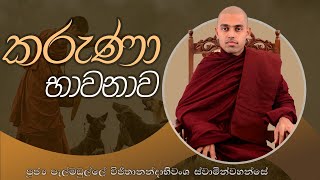 කරුණා භාවනාව | පූජ්‍ය පැල්මඩුල්ලේ විජිතානන්දාභිවංශ ස්වාමීන්වහන්සේ | IIT