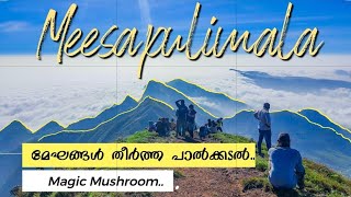 Meesapulimala trekking | മേഘങ്ങൾ തീർത്ത പാൽക്കടൽ