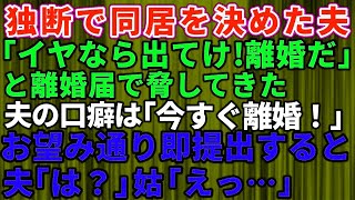 【スカッとする話】マザコン夫が独断で姑との同居を決めて「嫌なら出て行け」と離婚届を出して脅してきた→口癖が「今すぐ離婚だ！」だったのでお望み通り即提出してやった結