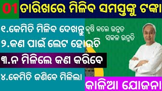 01ତାରିଖରେ ମିଳିବ ସମସ୍ତଙ୍କୁ କଳିଆ ଯୋଜନା ଟଙ୍କା/Kalia Yojana|Second phase of KALIA from April 1