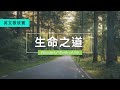 【 生命之道 】中英文 Wonderful Words of Life (English & Chinese Lyrics)