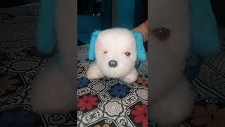 #song #hyy #ye #majboori #dogtoy