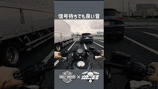 【XL1200X】チューニングしたらもっと良くなる？？ #shorts