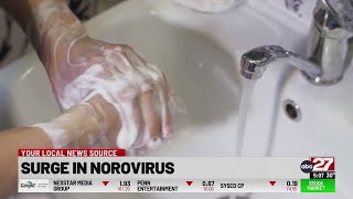 Surge in Norovirus