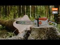 STIHL MSA 300 Battery Chainsaw