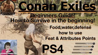 Beginners Guide to PS4 Conan Exiles 2022