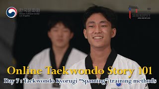 Day 7. Taekwondo Kyorugi “Sparring” training methods