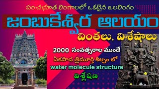 జంబుకేశ్వర ఆలయం జలలింగం I Jambukeshwar Temple Hidden History I Mystery of Jalalingam I Telugu I 4K