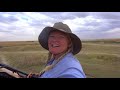 serengeti national park wildlife safari in tanzania the planet d