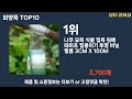 가장 많이 팔린 회양목 추천 top10