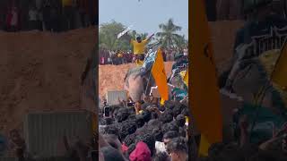 എടക്കഴിയൂർ നേർച്ച 2025 #tirur #tirur_news#elephant