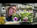 Creekside Nursery's Ultimate Container Planting Tutorial - Your Step By Step Guide & update on Seeds