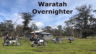 Waratah Tasmania Overnight Adventure Ride Wr450f