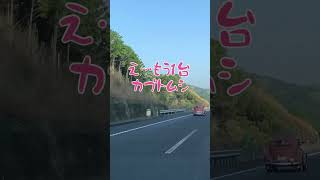 高速道路で、古いワーゲンのビートル(愛称、カブトムシ)を見つけました。何と3台…たぶん愛好家の、ドライブ。　#ワーゲンビートル　#カブトムシ　#ビートルズ