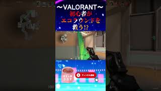 【VALORANT】初心者がエコラウンドを救う!? #shorts