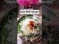 कम तेल मे बनाए पोई साग के भाजी ପୋଈ ସାଗ ଭାଜି cooking easyrecipe