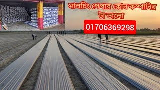 মালচিং পেপার কোন কোম্পানির টা ভালো। আইরিশ মালচিং কিনতে: 01706369298