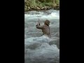 A River Runs Through It POV - If he had a GoPro!