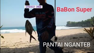 surf fishing🎣mancing pasiran  dan pesona pantai nganteb pasir putih