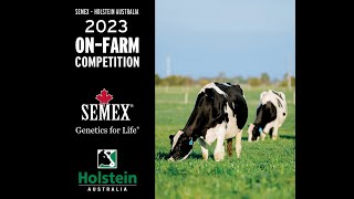 2023 Semex - Holstein Australia On-Farm Competition - Townson Lindy 5 Year Old - Victorian Final