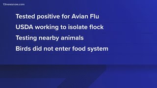 Bird flu case reported on the Eastern Shore