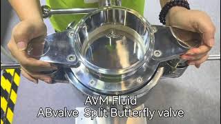 🔬 Aseptic Split Butterfly Valve (SBV) – High Containment Demonstration | OEB5 Performance.
