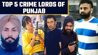 Punjab's Top 5 Criminals and Gangsters in the Food Chain |Goldy Brar|Lawrence Bishnoi| OneIndia News