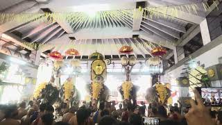 തിരുവമ്പാടി ഏകാദശി #elephant #pooram #temple#tour #tourism #entertainment  #kerala