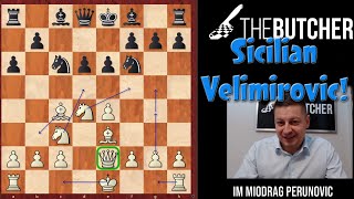 FAMOUS Velimirovic Attack vs Sicilian! Find Out Why!!