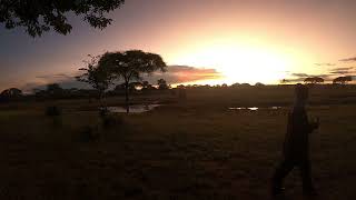 Sunrise at Senyati Safari Camp