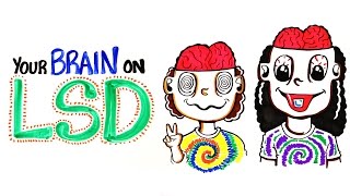 Your Brain on LSD and Acid