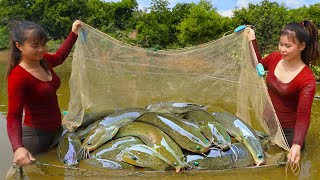 Harvesting A Lot Of Big Fish Goes To Market Sell - Take Care Chicken And Pig | Tiểu Ca Daily Life