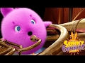 Cartoons Para Crianças | OS COELHOS SUNNY DO MUSICAL DOS COELHOS| Cartoons engraçados para crianças