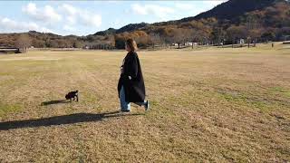 【休日vlog】愛犬と滋賀県希望ヶ丘文化公園に行ってきた